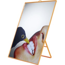Miroir toiletpaper crow par seletti